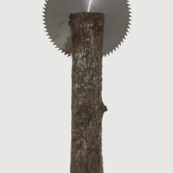1999-m.-Saulute_CC_87-1-650x1024